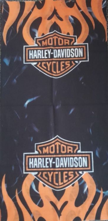 Bandana Flame Logo Harley Davidson Acheter Sur Ricardo