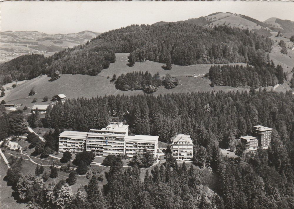 Faltigberg Zh Wald Foto Scheide Z Rcher Kaufen Auf Ricardo