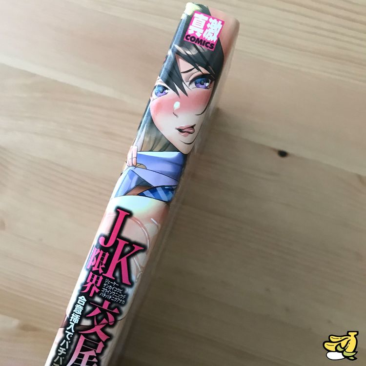 Hentai Jk Erotik Manga Japanisch Kaufen Auf Ricardo