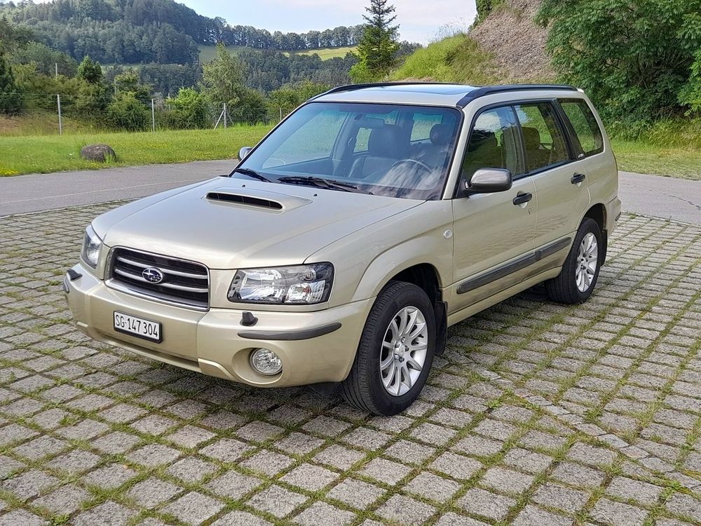 Subaru Forester Turbo Automat Frisch Ab Mfk Und Service Kaufen