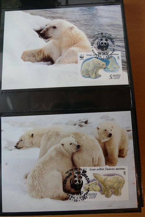 WWF Album mit Silbermünze Briefmarken Kaufen auf Ricardo