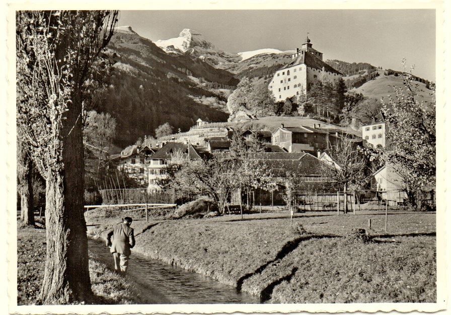 BUCHS WERDENBERG Kaufen Auf Ricardo