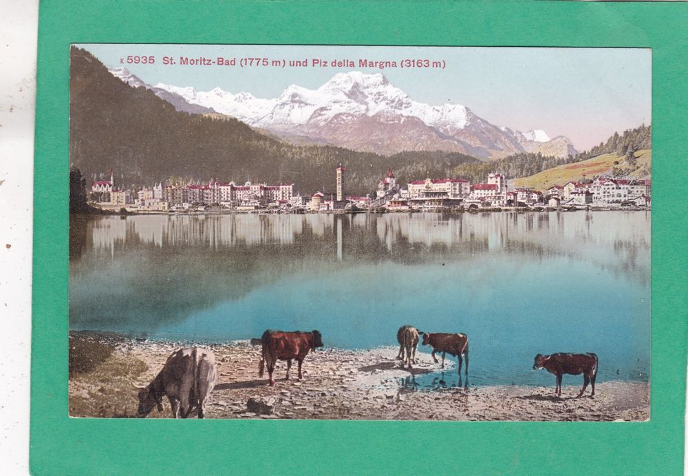 St Moritz Bad und Piz della Margna Kühe Kaufen auf Ricardo