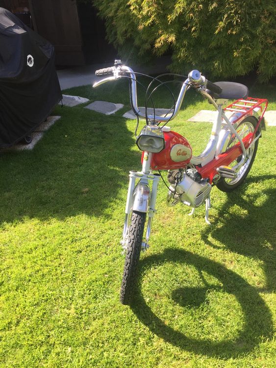 Sachs Gallus 502 Acheter Sur Ricardo