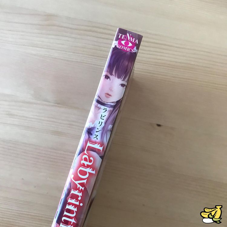 Manga Labyrinth Sexy Japanisch Hentai Kaufen Auf Ricardo