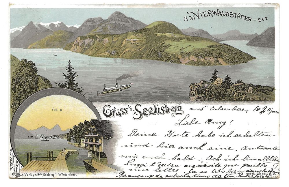 Gruss Aus Seelisberg UR Treib Schlumpf Litho No 43 1899 Kaufen