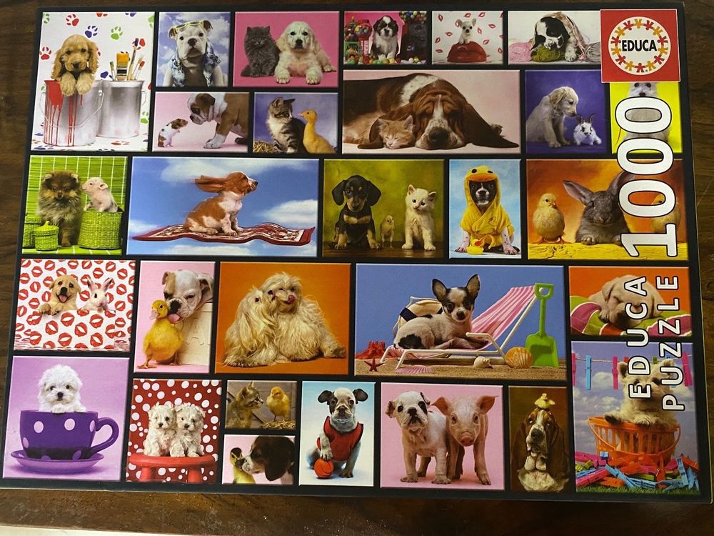 1000er Puzzle Hunde Kaufen Auf Ricardo