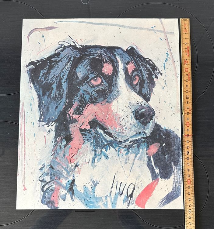 Fritz Hug Lithographie Od Kunstdruck Berner Sennenhund Kaufen Auf