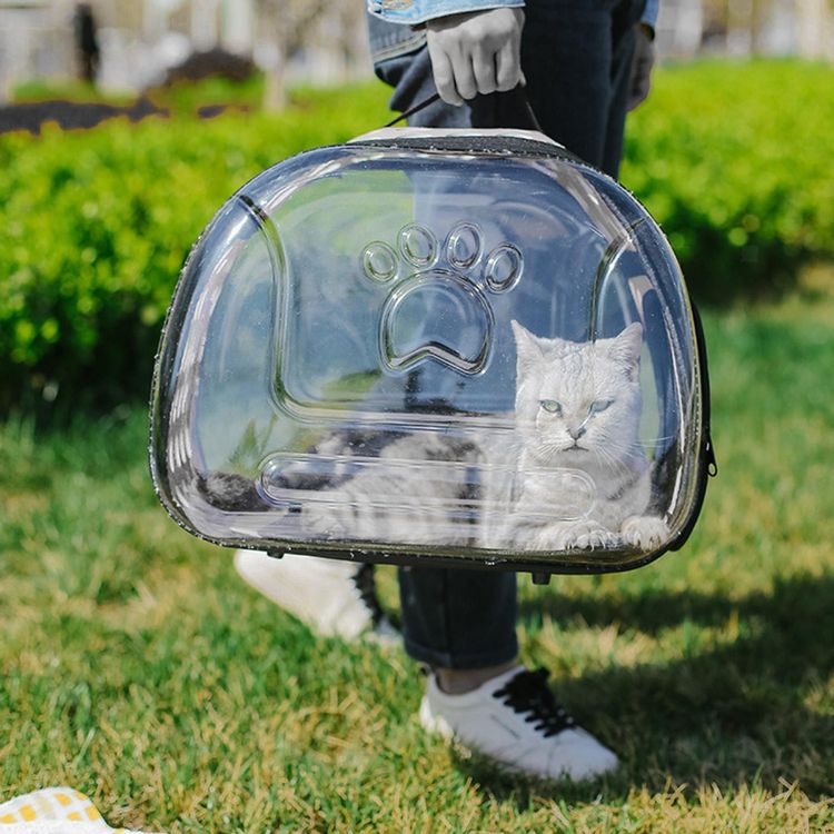 Transportbox Hunde Trage Katzen Tasche Reise Xxl Kaufen Auf Ricardo