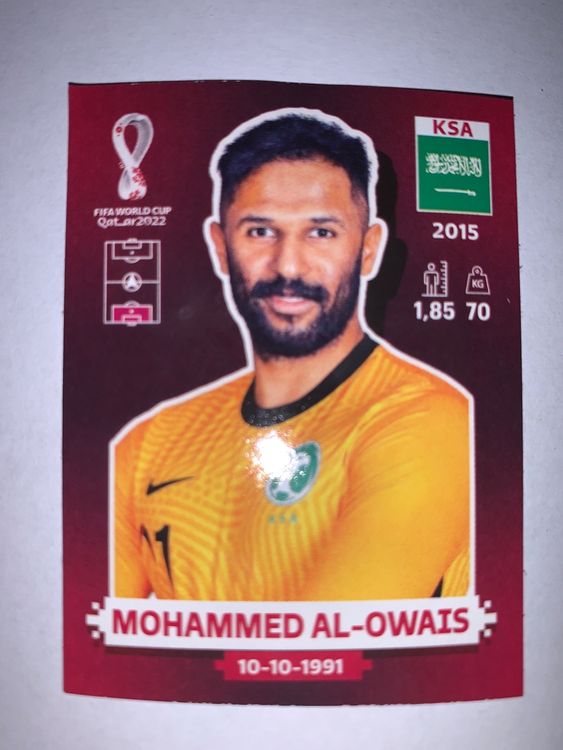 Panini Wm Einzelbild Ksa Kaufen Auf Ricardo