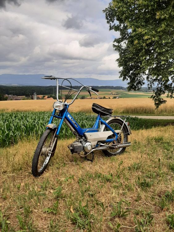 Puch Maxi N Original Zustand Kaufen Auf Ricardo