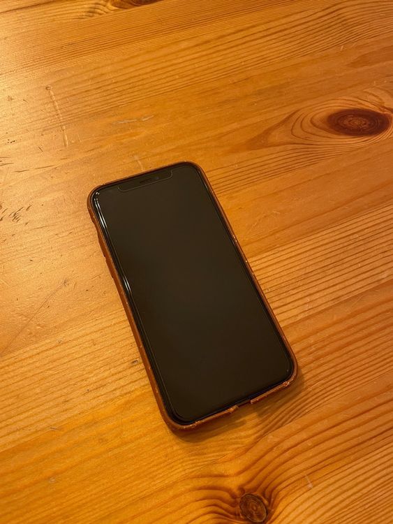 IPhone 11 Pro 256GB Spacegrau Kaufen Auf Ricardo