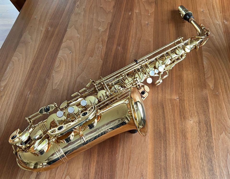 Alto Saxophon YANAGISAWA 900 Kaufen Auf Ricardo