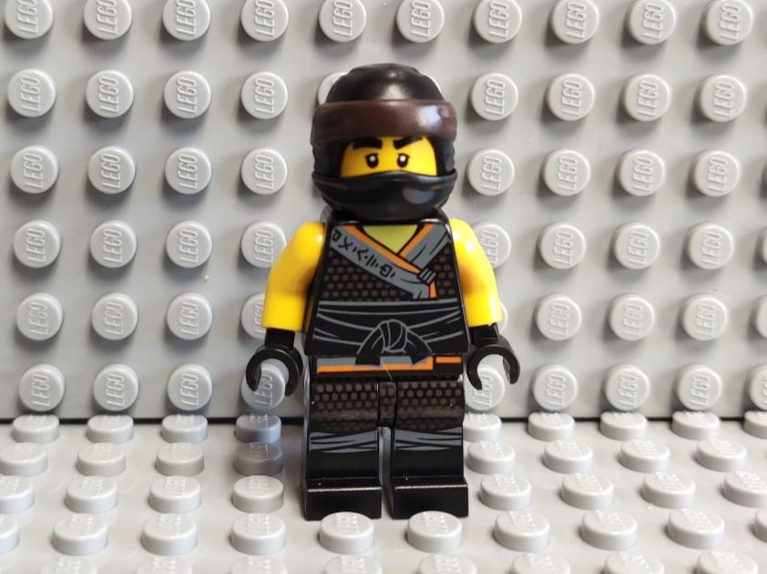 LEGO Ninjago Minifigur Cole Sons Of Garmadon Njo455 Kaufen Auf