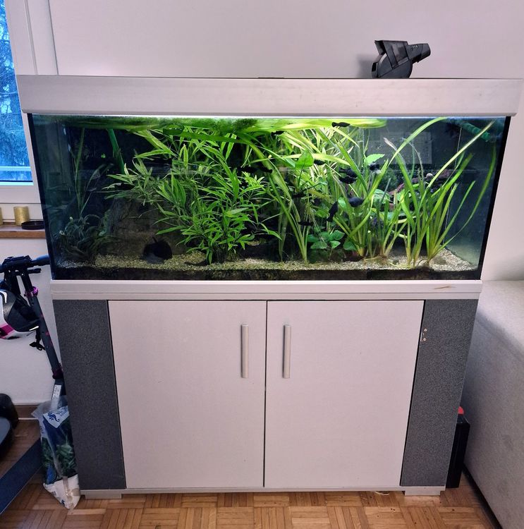 Aquarium X X Inkl M Bel Zubeh R Pflanzen Und Fischen Kaufen