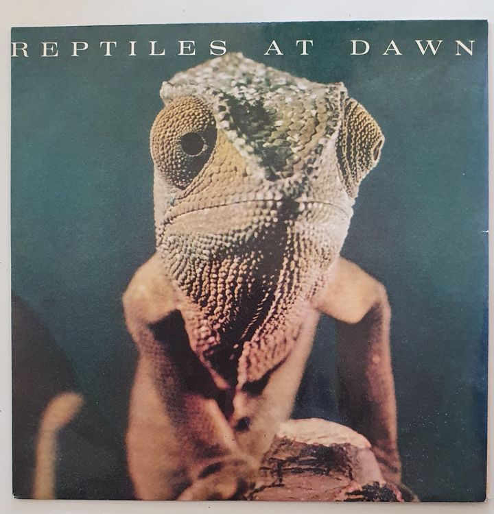 Reptiles At Dawn Zenith Borderline Ring 45 T Kaufen Auf Ricardo