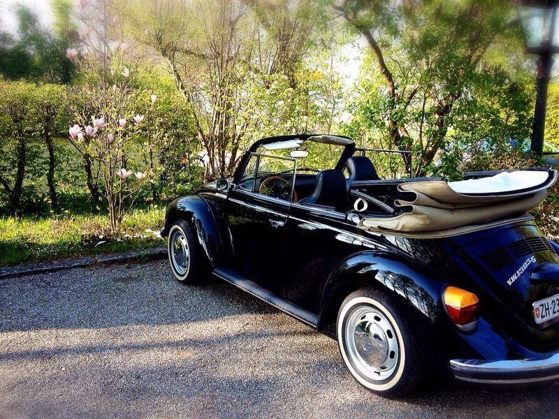 Wunderschöner VW Käfer Cabrio Comprare su Ricardo