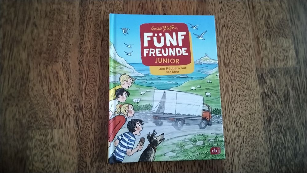 F Nf Freunde Junior Buch Den R Ubern Auf Der Spur Kaufen Auf Ricardo