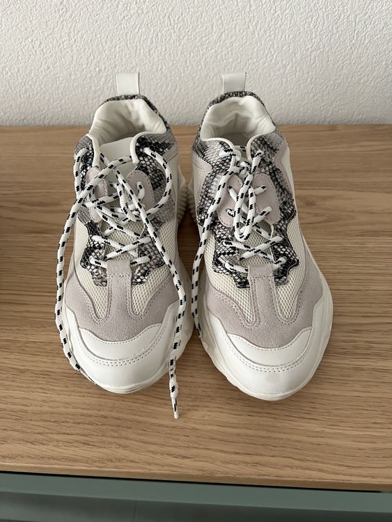 Steve Madden Sneaker Kaufen Auf Ricardo