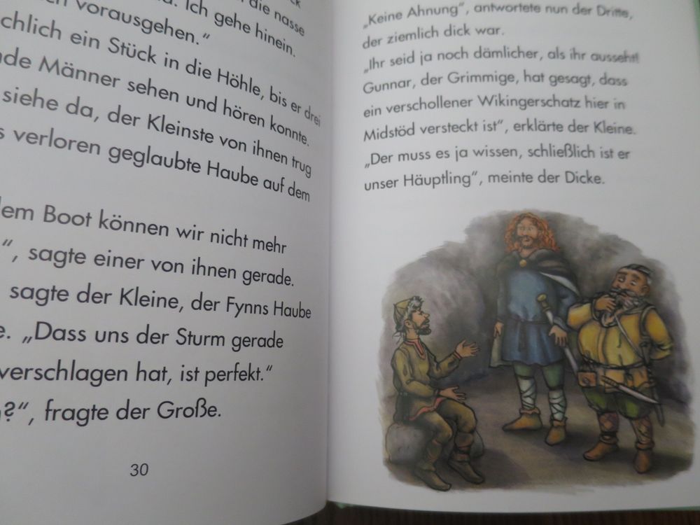 Buch Kinderbuch Lesen Kind Lesezug Wikinger Schatz Kaufen Auf Ricardo