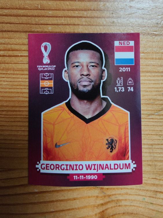 Panini Wm Ned Kaufen Auf Ricardo