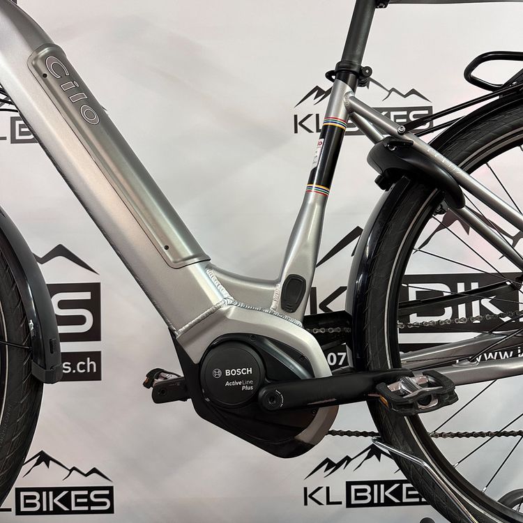 E Bike Cilo Km H Bosch Antrieb Ab Service Kaufen Auf Ricardo