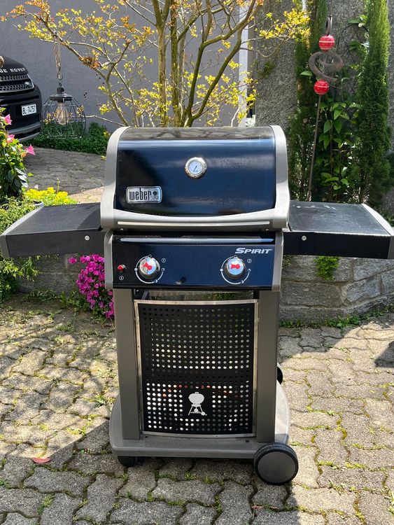 Gasgrill Weber Kaufen Auf Ricardo