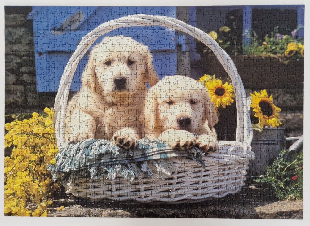 Ravensburger Puzzle Teile Hunde Im Korb Kaufen Auf Ricardo