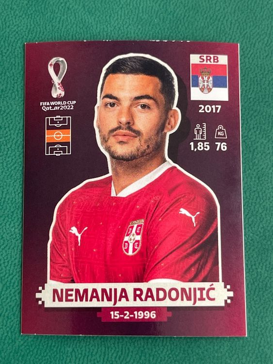 Panini Wm Srb Kaufen Auf Ricardo