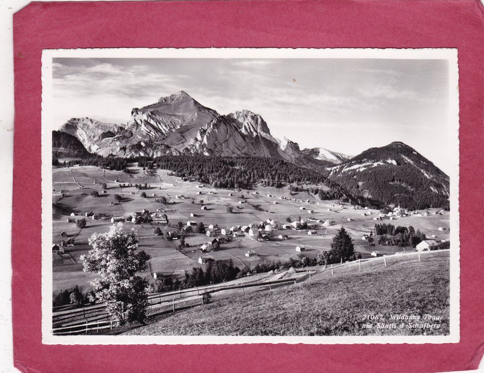 Wildhaus Mit S Ntis Und Schafberg Kaufen Auf Ricardo