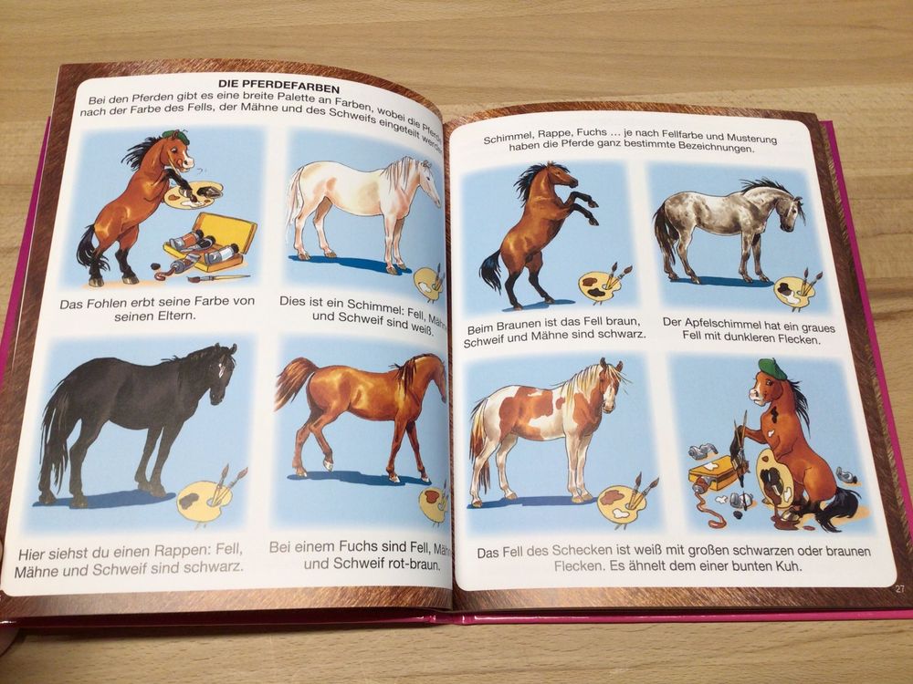 Buch Kinderwissen Pferde Und Ponys Kaufen Auf Ricardo