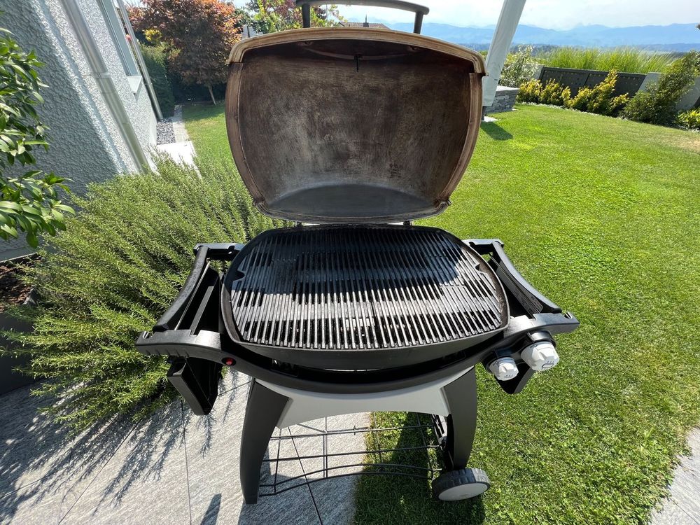 Weber Gasgrill Kaufen Auf Ricardo