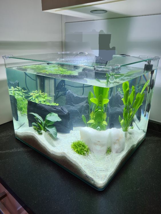 Aquarium Dennerle Nano Cube 55L Kaufen Auf Ricardo