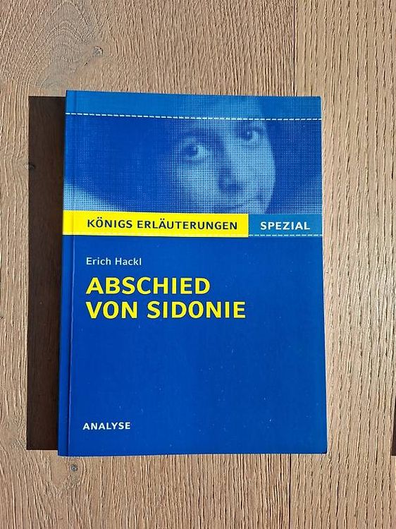 Königs Erläuterungen Erich Hackl Abschied von Sidonie Kaufen auf