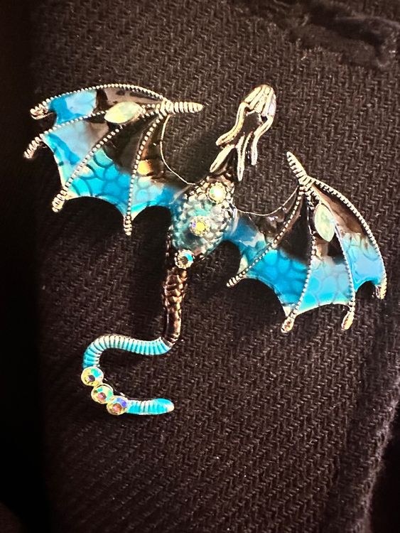 Brosche Anh Nger Emaille Drache Schwarz Blau Kaufen Auf Ricardo