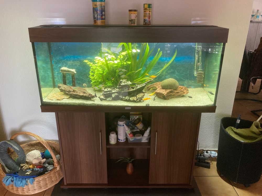 Aquarium Juwel Rio 240 Inkl Filter U Fische Kaufen Auf Ricardo