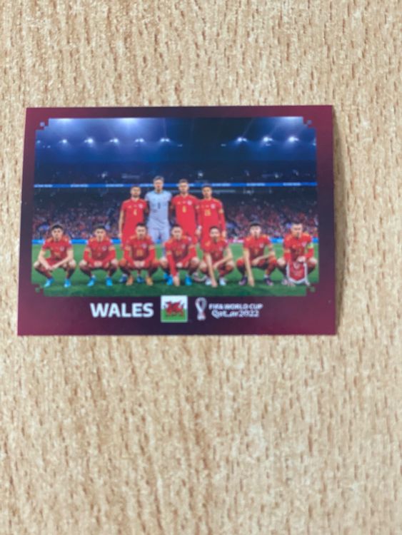 Panini Wm Wales Teambild Wal Kaufen Auf Ricardo