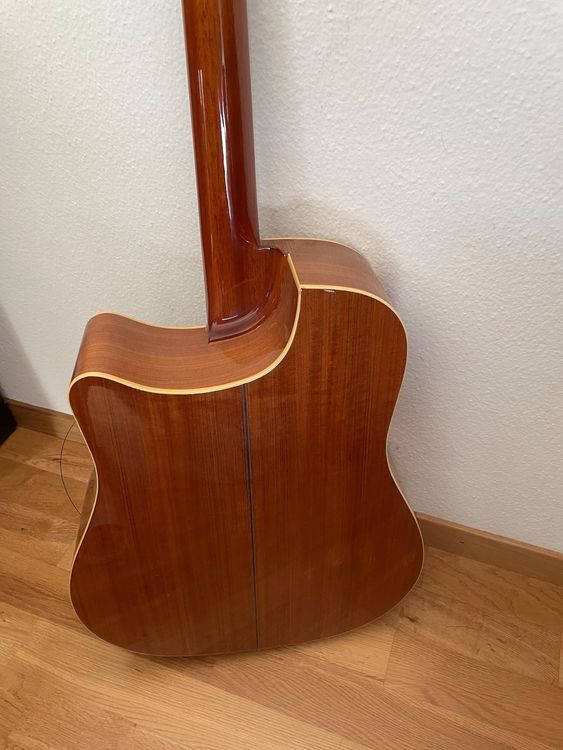 Washburn Gitarre Kaufen Auf Ricardo