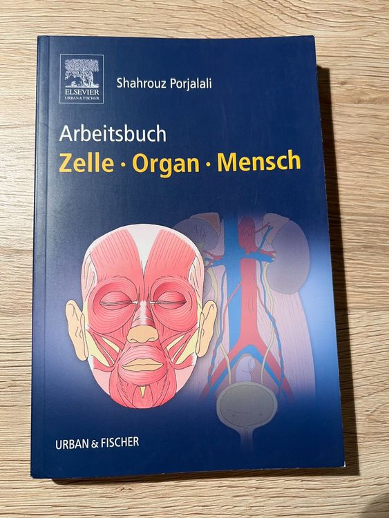 Arbeitsbuch Zelle Organ Mensch Anatomie Physiologie Kaufen