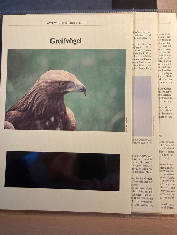 Ungarn 1983 WWF Greifvögel 1 Teil Kapitel Texte Kaufen auf Ricardo