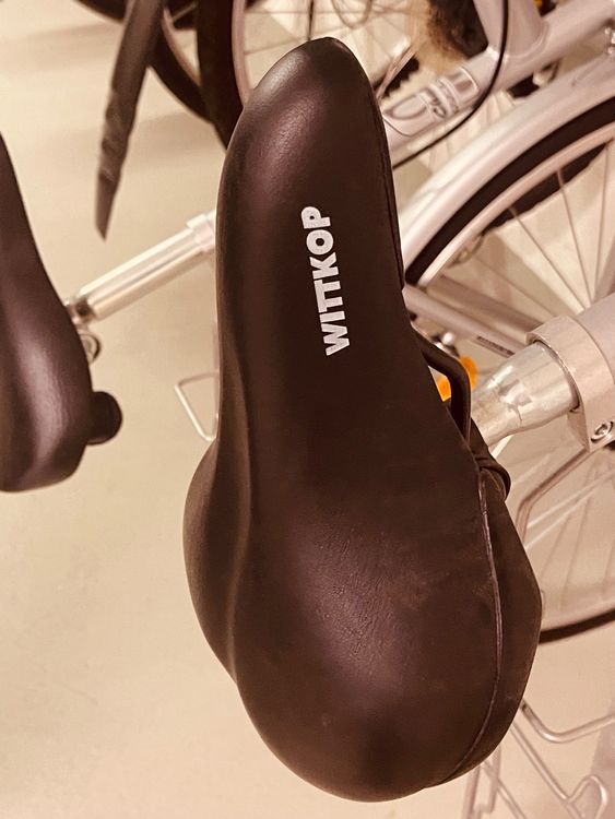 2 Velos Damen Und Herren Velo Fast Neu Kaufen Auf Ricardo