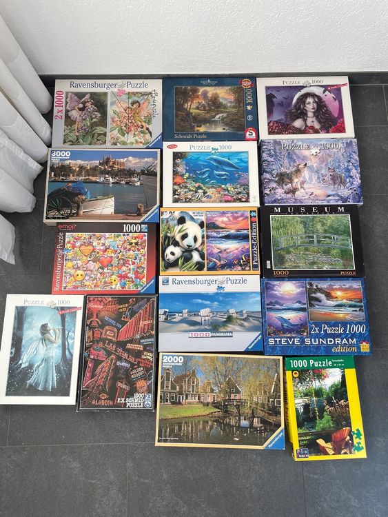 Puzzles 18 In Total Kaufen Auf Ricardo