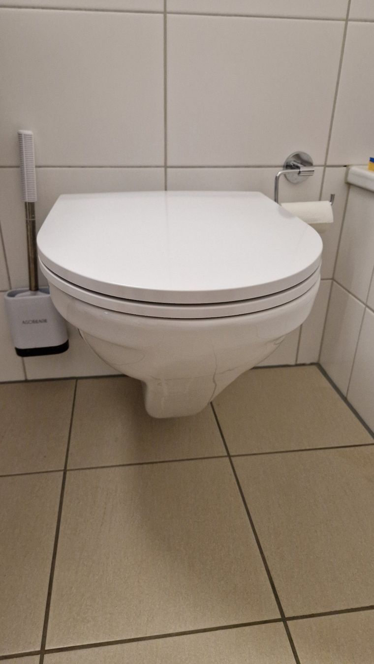 WC Der Marke Laufen Inkl Sitz 1 Von 2 Kaufen Auf Ricardo