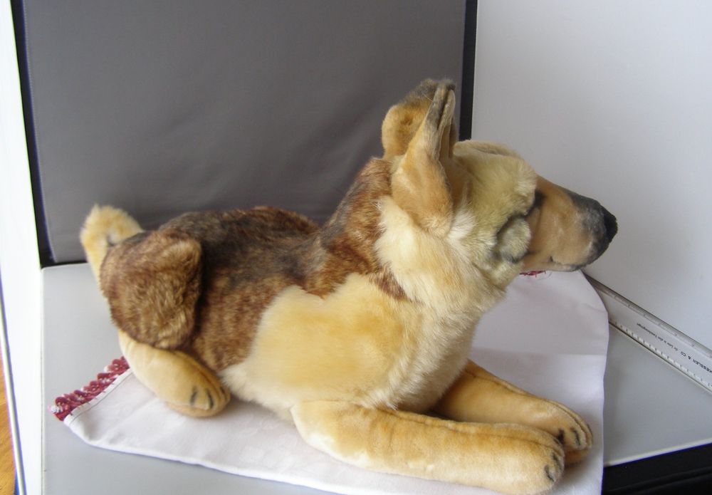 Grosser Schäferhund liegend 65 cm Steiff Nr 079061 Kaufen auf Ricardo