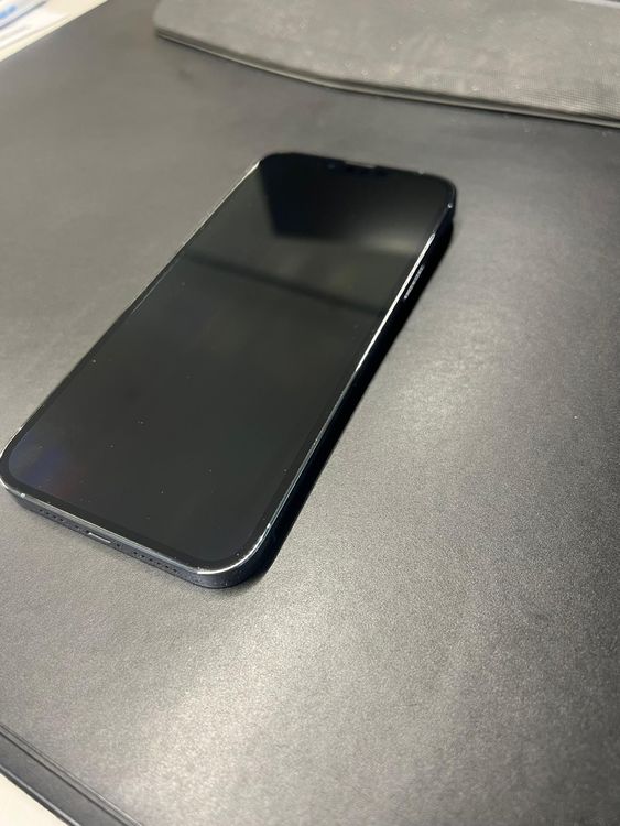 Iphone 13 Pro Max 256 GB inkl Zubehör Neuwertig Kaufen auf Ricardo