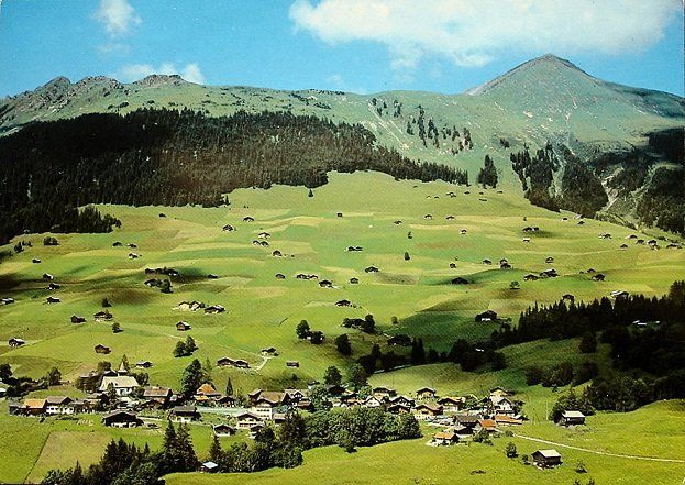 Lauenen Wasserngrat Und Lauenenhorn Kaufen Auf Ricardo