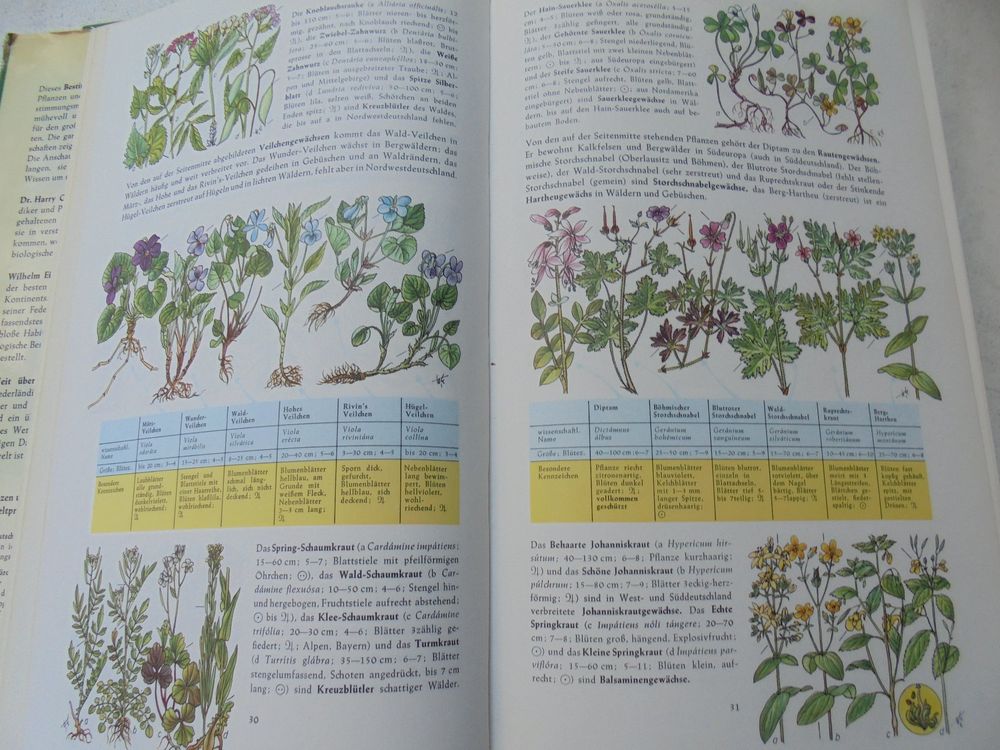 Buch Pflanzen Und Tiere Europas Kaufen Auf Ricardo