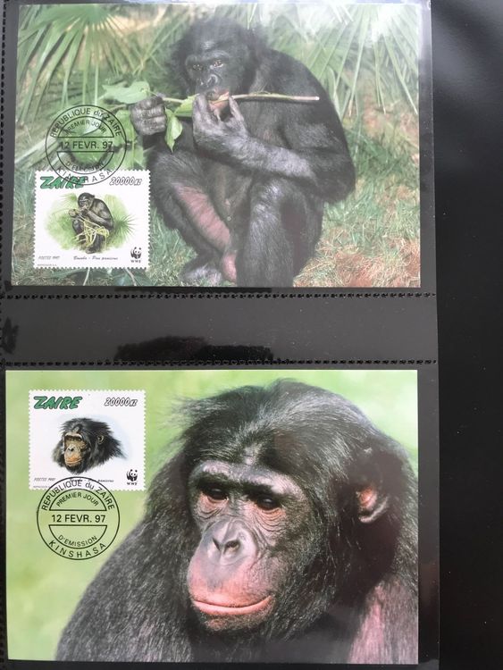 WWF Zaire 1997 Satz Bonobo Affen Maximumkarten Kaufen Auf Ricardo