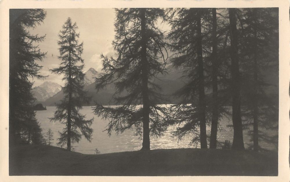 Vintage Fotokarte E Meerk Mper Sils Im Engadin Kaufen Auf Ricardo