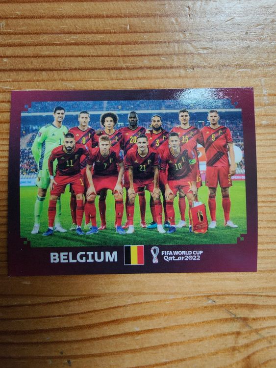 Panini Wm Bel Kaufen Auf Ricardo